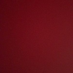 Meet your Posher, Tillie